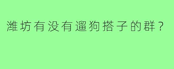 潍坊有没有遛狗搭子的群？