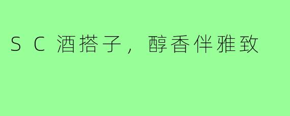 SC酒搭子,醇香伴雅致