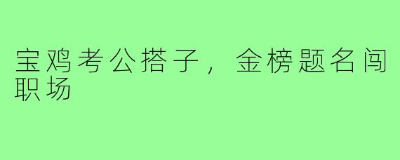 宝鸡考公搭子，金榜题名闯职场