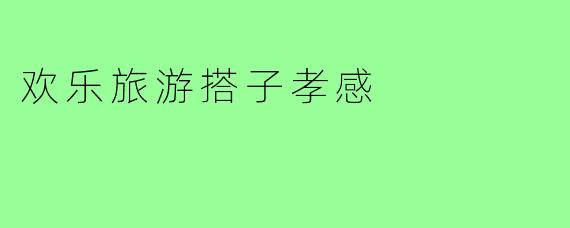 欢乐旅游搭子孝感