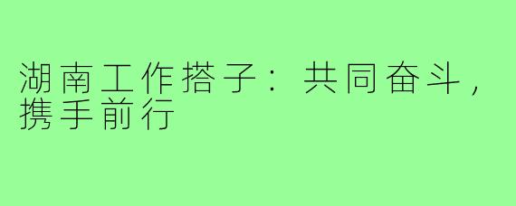 湖南工作搭子：共同奋斗，携手前行