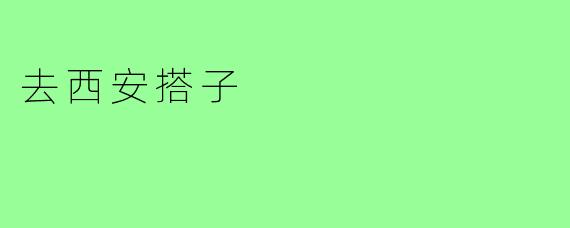 去西安搭子