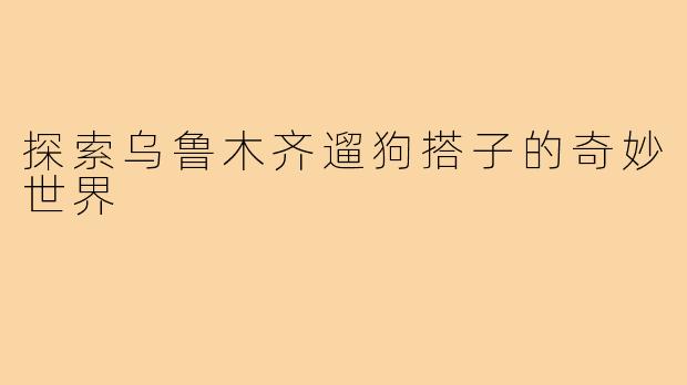 探索乌鲁木齐遛狗搭子的奇妙世界