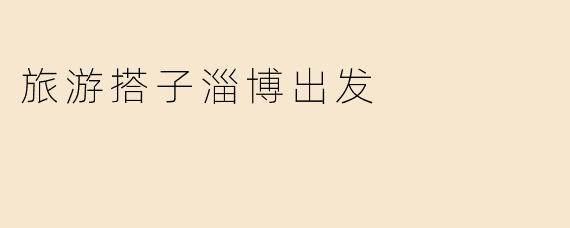 旅游搭子淄博出发