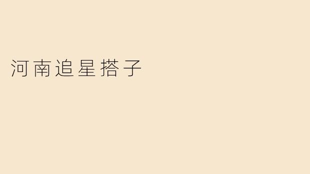 河南追星搭子