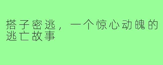 搭子密逃，一个惊心动魄的逃亡故事