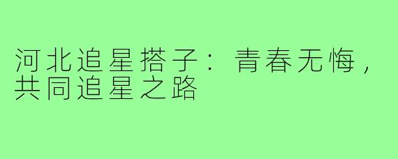 河北追星搭子:青春无悔,共同追星之路
