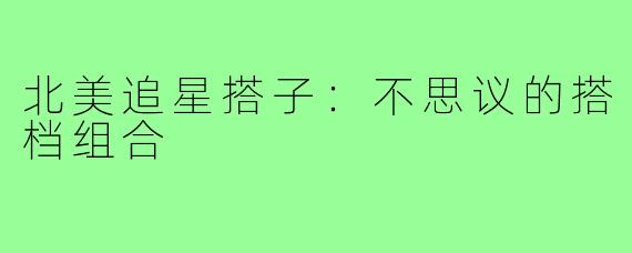 北美追星搭子:不思议的搭档组合