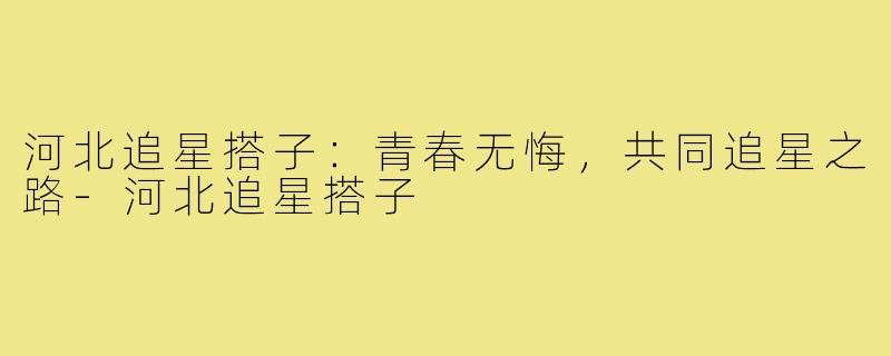 河北追星搭子:青春无悔,共同追星之路-河北追星搭子