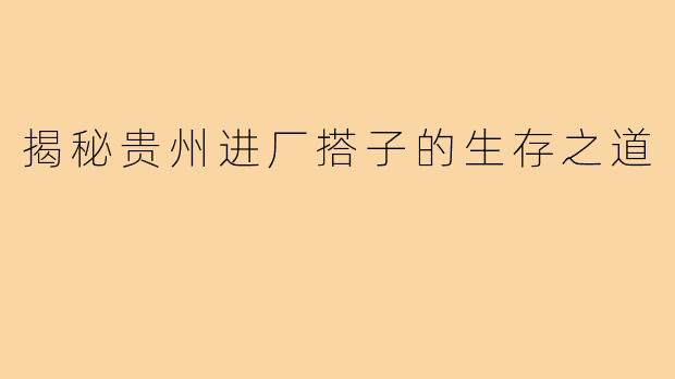 揭秘贵州进厂搭子的生存之道