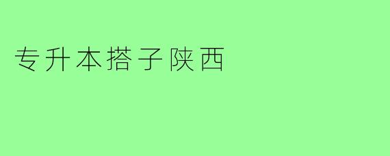 专升本搭子陕西