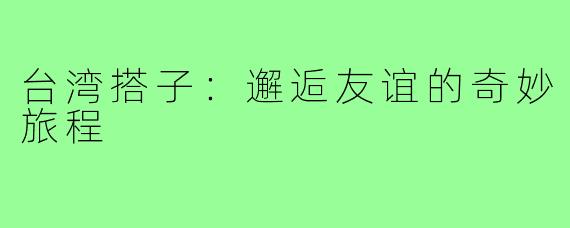 台湾搭子：邂逅友谊的奇妙旅程
