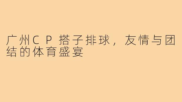广州CP搭子排球，友情与团结的体育盛宴
