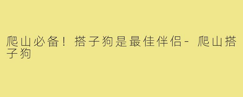 爬山必备!搭子狗是最佳伴侣-爬山搭子狗