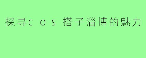 探寻cos搭子淄博的魅力