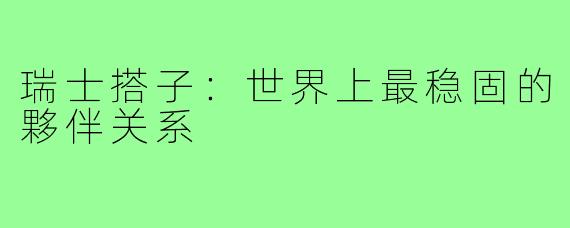 瑞士搭子：世界上最稳固的夥伴关系