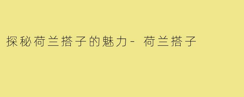 探秘荷兰搭子的魅力-荷兰搭子