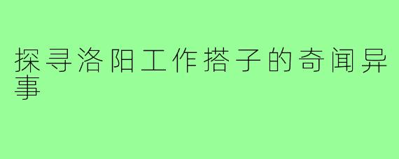 探寻洛阳工作搭子的奇闻异事