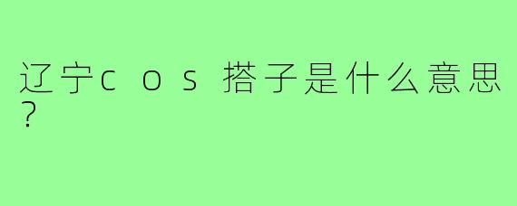 辽宁cos搭子是什么意思？