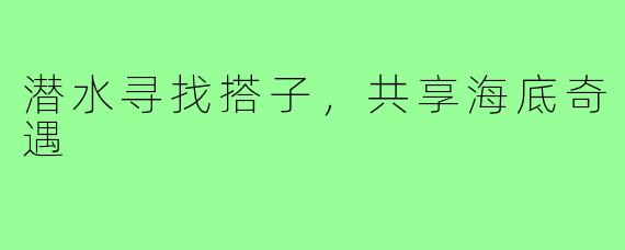 潜水寻找搭子，共享海底奇遇