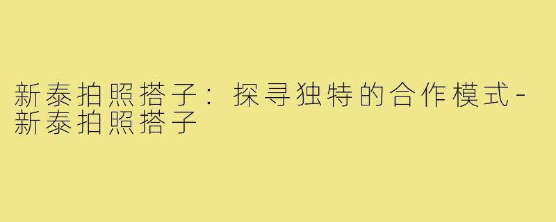新泰拍照搭子：探寻独特的合作模式