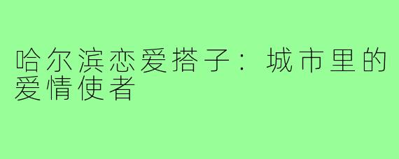 哈尔滨恋爱搭子：城市里的爱情使者