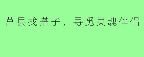 莒县找搭子，寻觅灵魂伴侣
