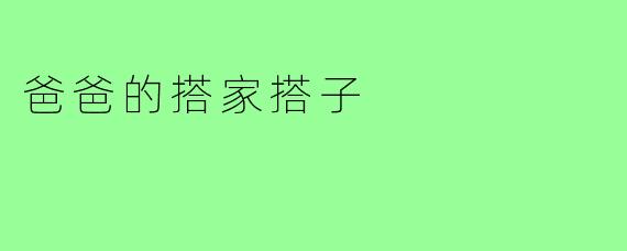 爸爸的搭家搭子