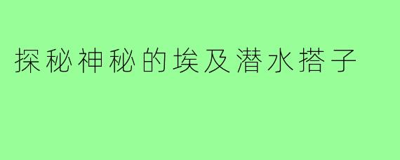探秘神秘的埃及潜水搭子