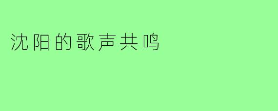 沈阳的歌声共鸣