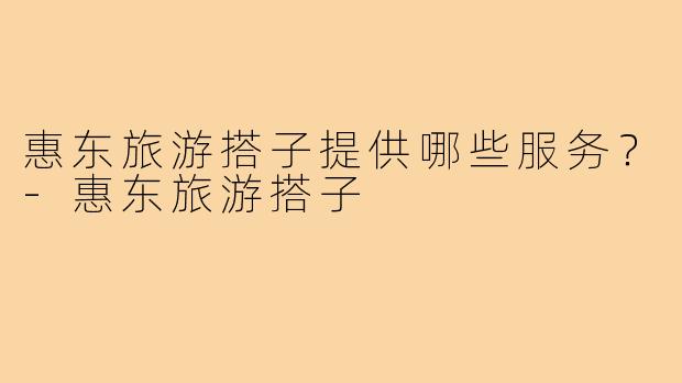 惠东旅游搭子提供哪些服务？