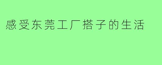感受东莞工厂搭子的生活