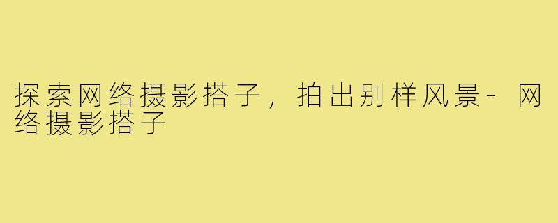 探索网络摄影搭子，拍出别样风景