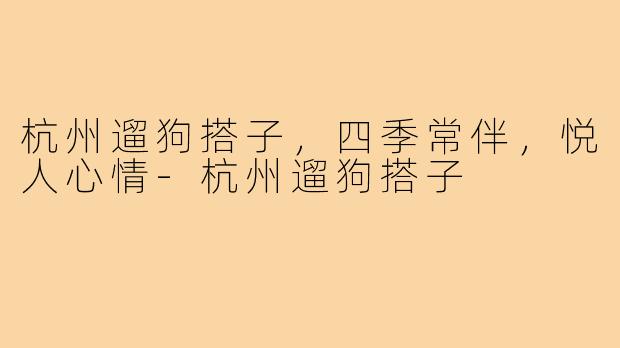 杭州遛狗搭子,四季常伴,悦人心情-杭州遛狗搭子