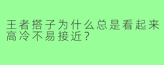 王者搭子为什么总是看起来高冷不易接近？