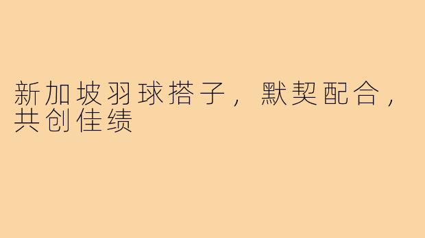 新加坡羽球搭子，默契配合，共创佳绩