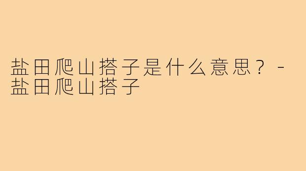 盐田爬山搭子是什么意思？