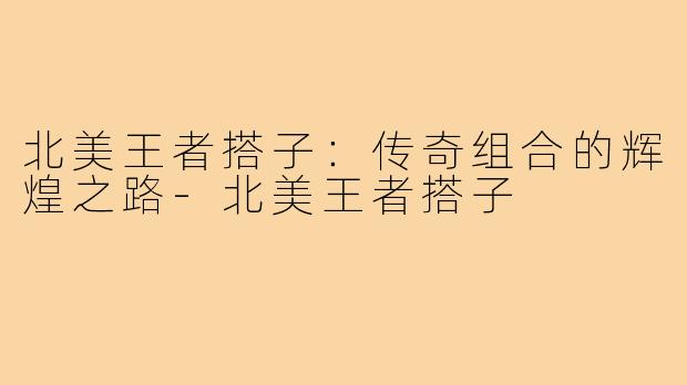 北美王者搭子:传奇组合的辉煌之路-北美王者搭子