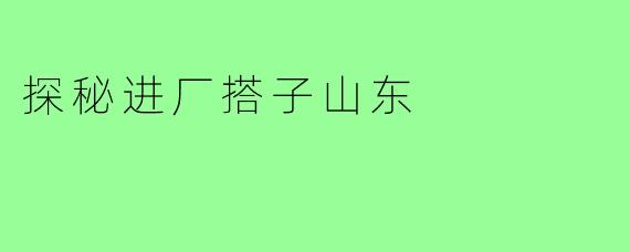 探秘进厂搭子山东