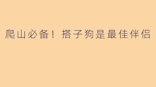 爬山必备!搭子狗是最佳伴侣