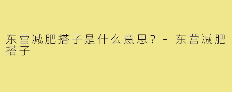 东营减肥搭子是什么意思？