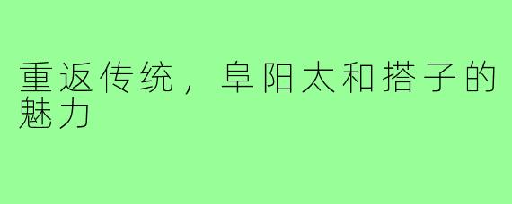 重返传统，阜阳太和搭子的魅力