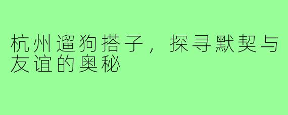 杭州遛狗搭子，探寻默契与友谊的奥秘