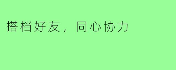 搭档好友，同心协力