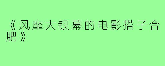 《风靡大银幕的电影搭子合肥》