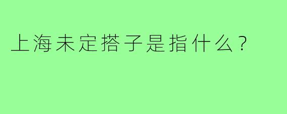 上海未定搭子是指什么？