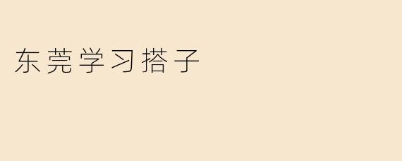 东莞学习搭子