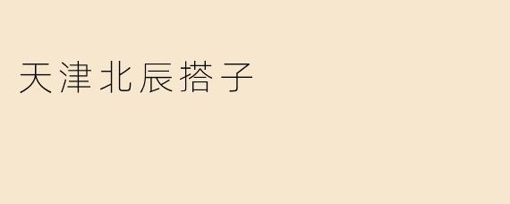 天津北辰搭子
