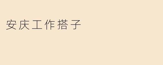 共同奋斗，同心协力——安庆工作搭子