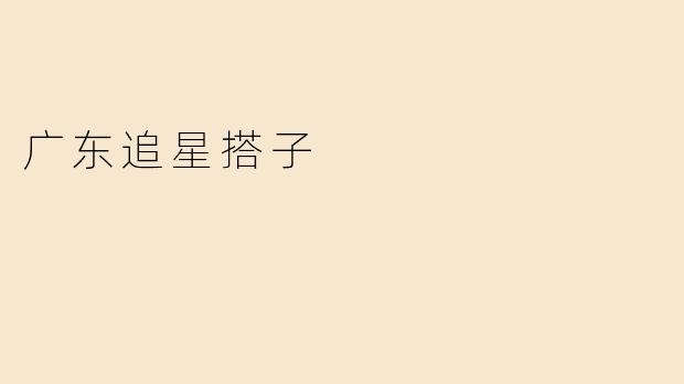 广东追星搭子